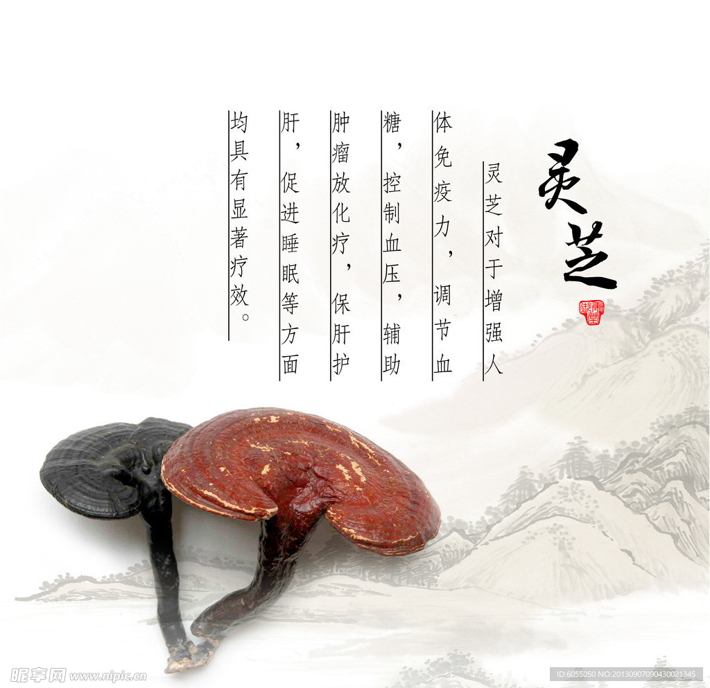 灵芝