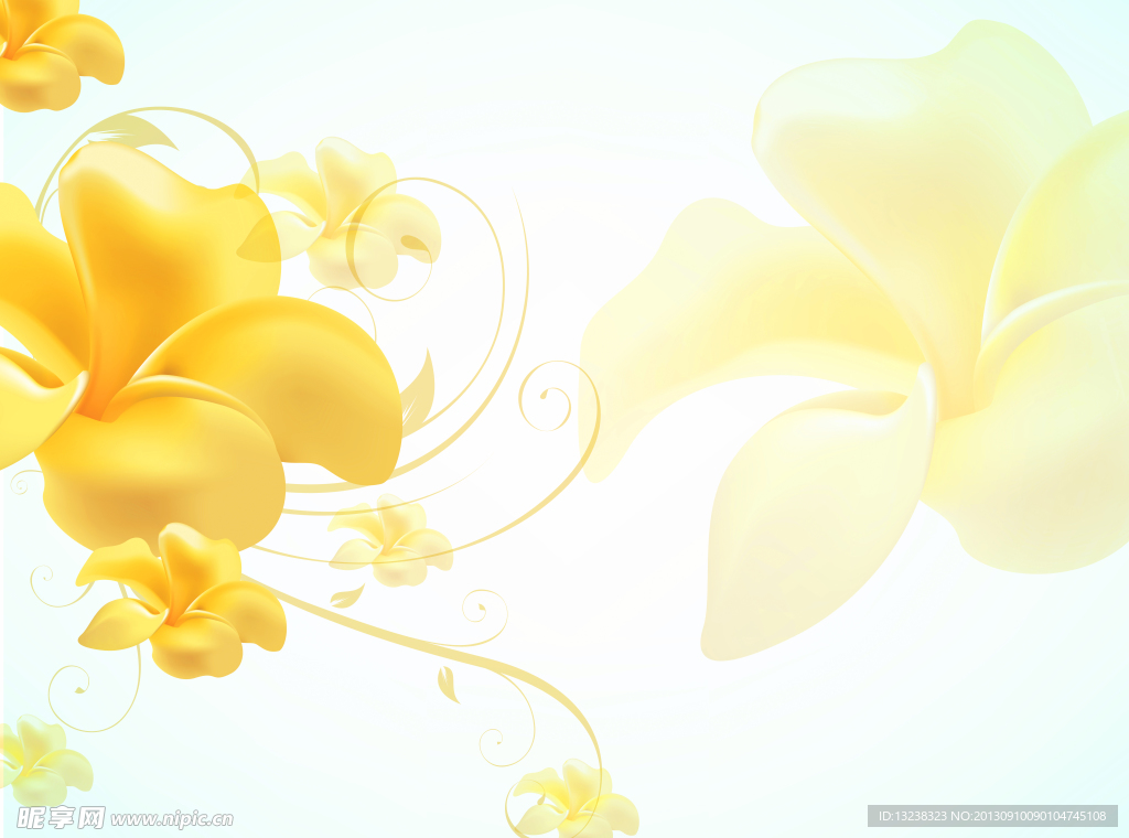 花朵无框画