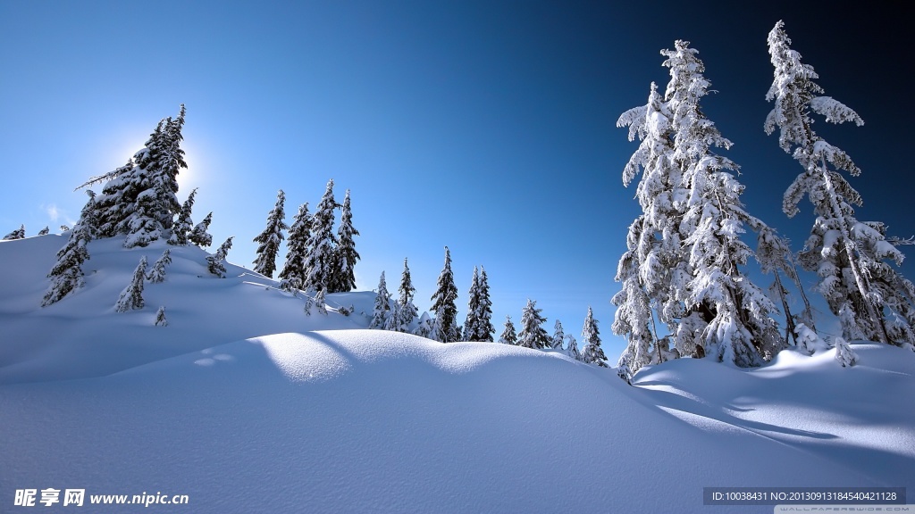 雪景