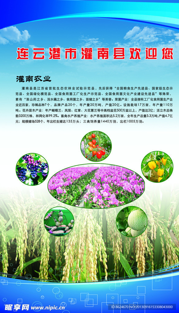 连云港农业展板