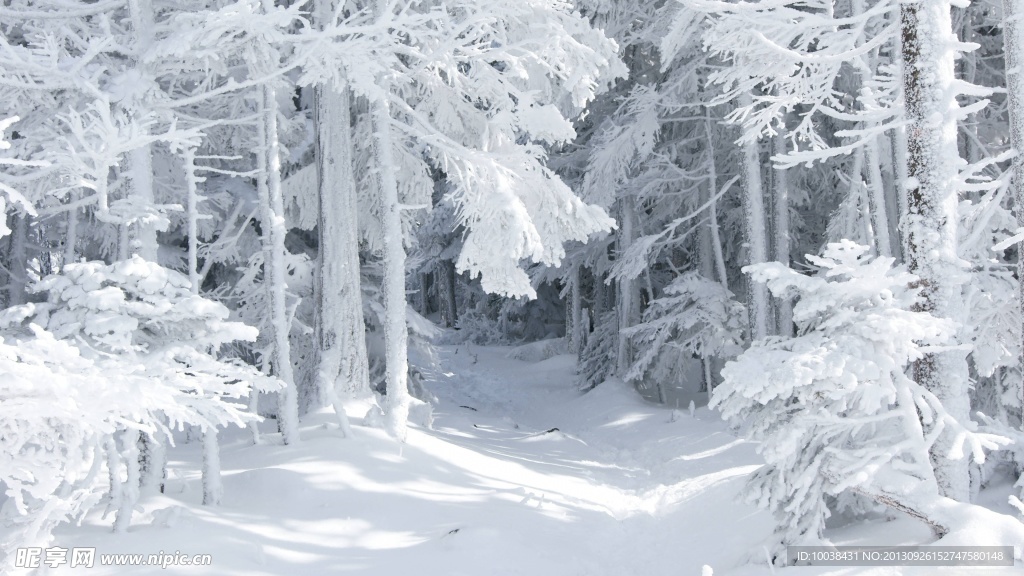 雪景