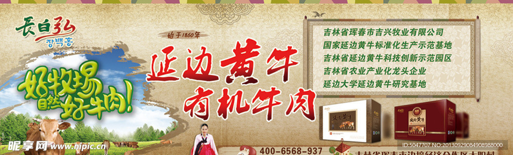 高档背景公司简介