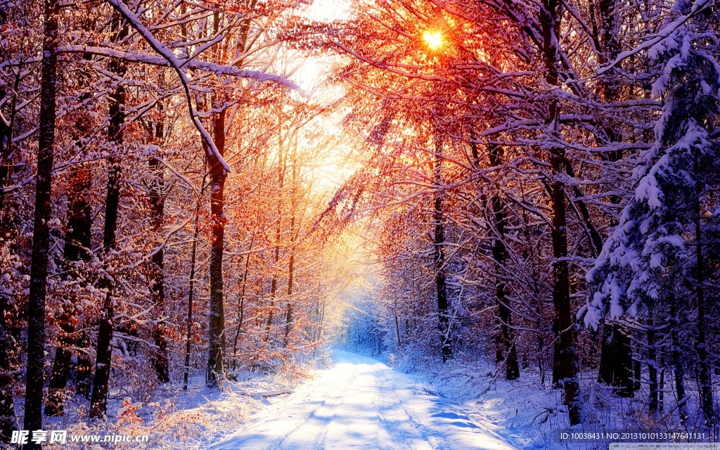 雪景