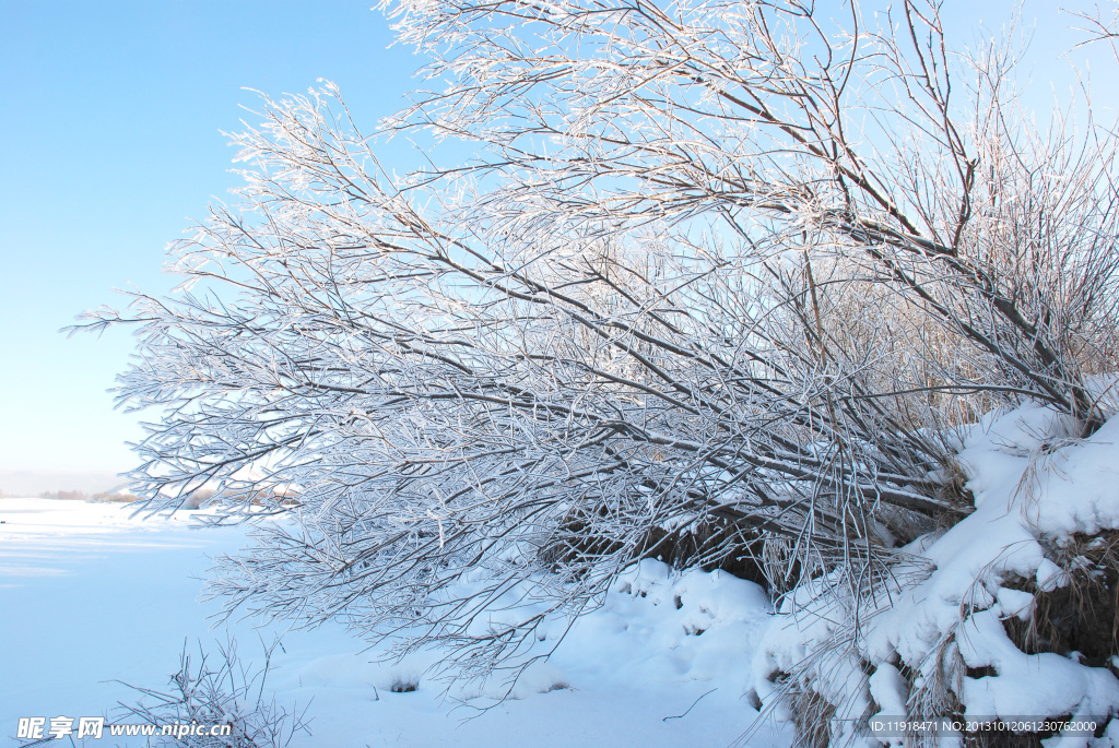 南河套雪景