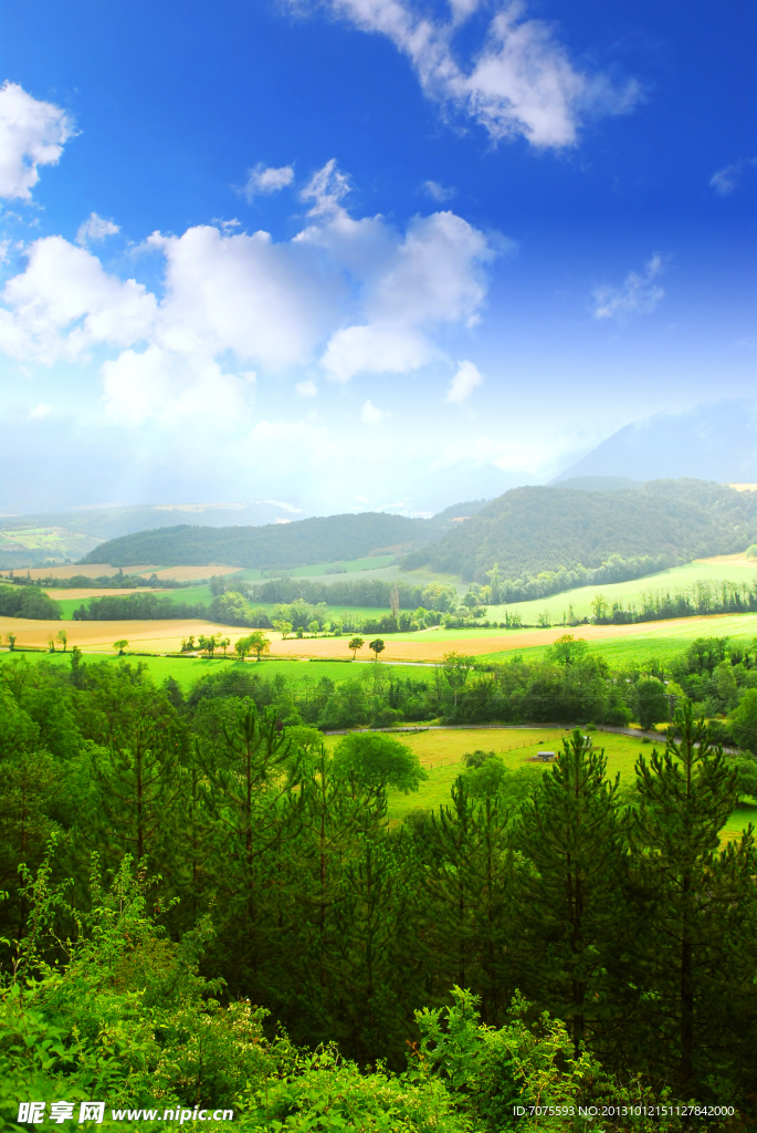 绿色大自然风景