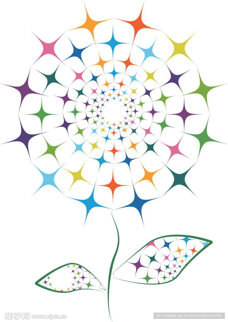彩色花卉