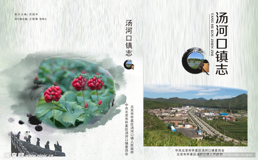 荷花 封面 书籍