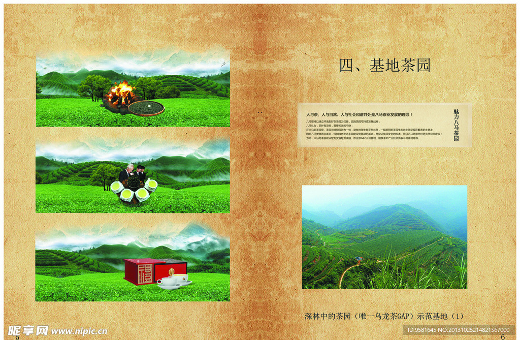 八马茶叶宣传册