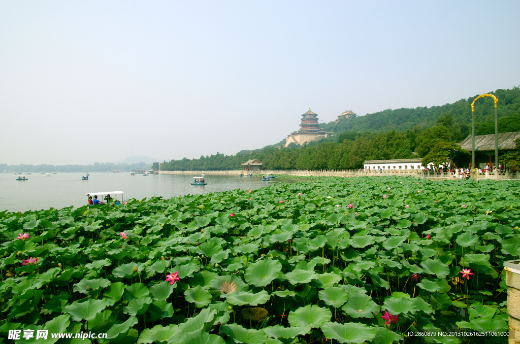 颐和园 河花池