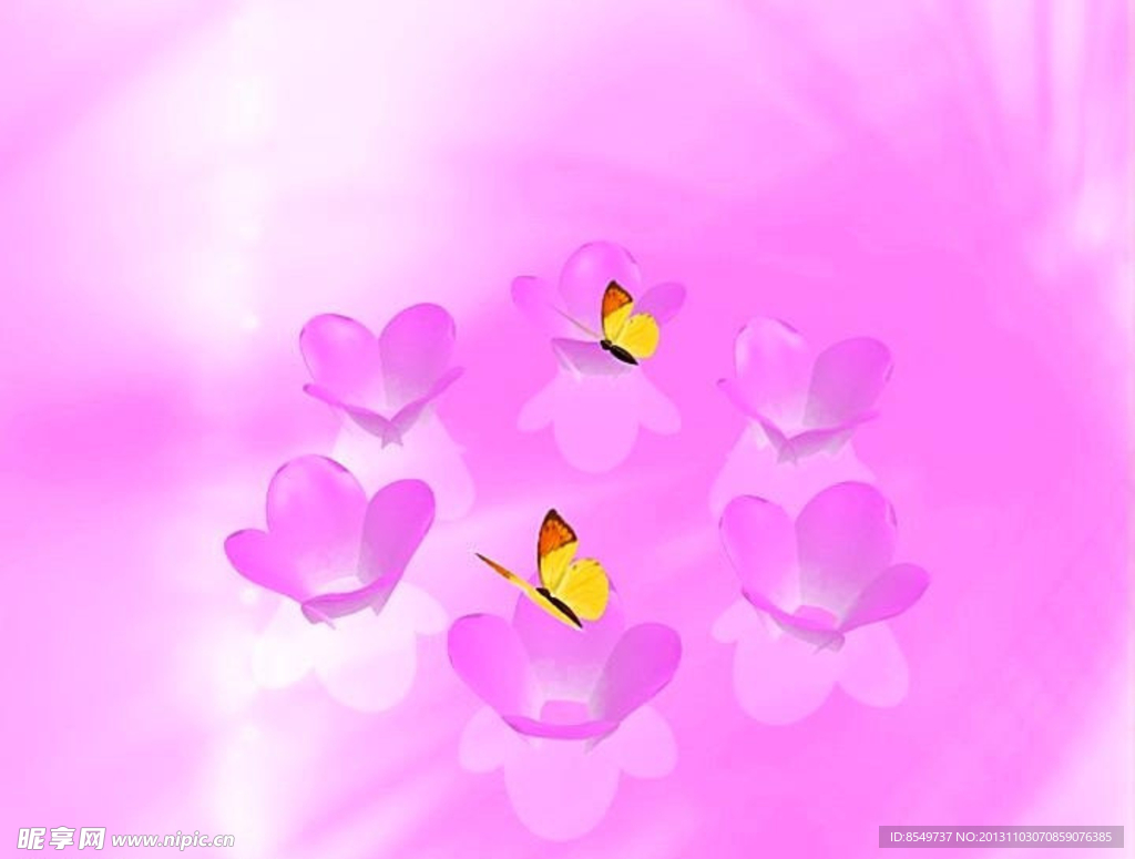 婚礼视频素材下载