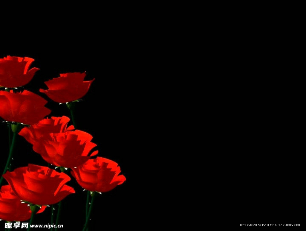 婚礼视频素材 婚