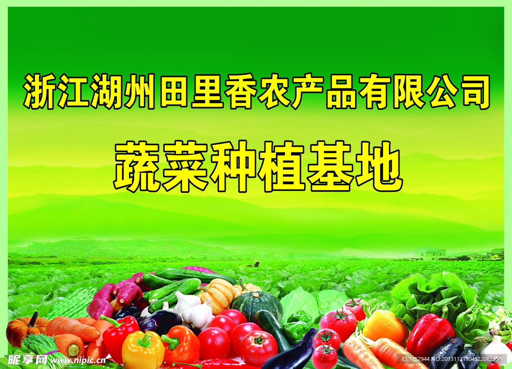 蔬菜种植基地