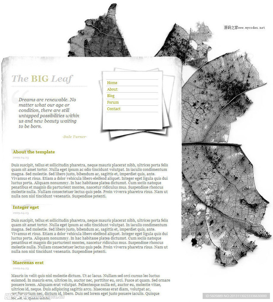 枯叶风格个人网站模板