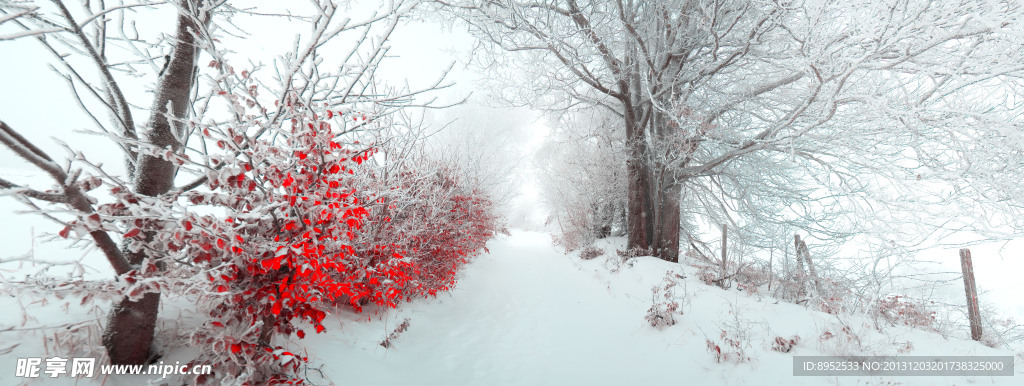 雪景