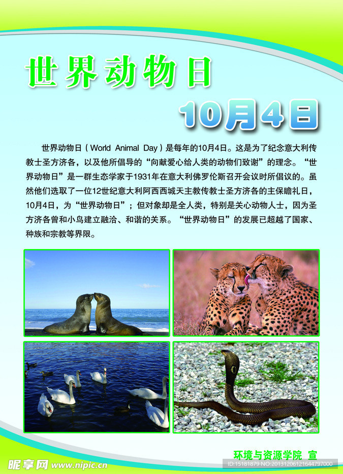 世界动物日