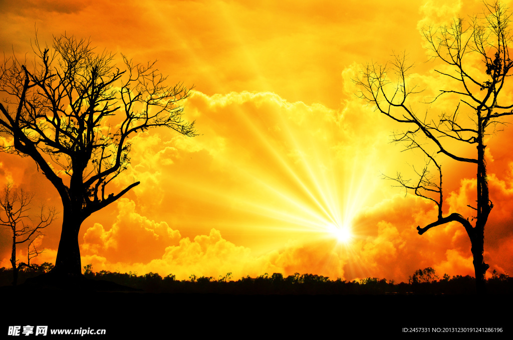 晚霞黄昏树木