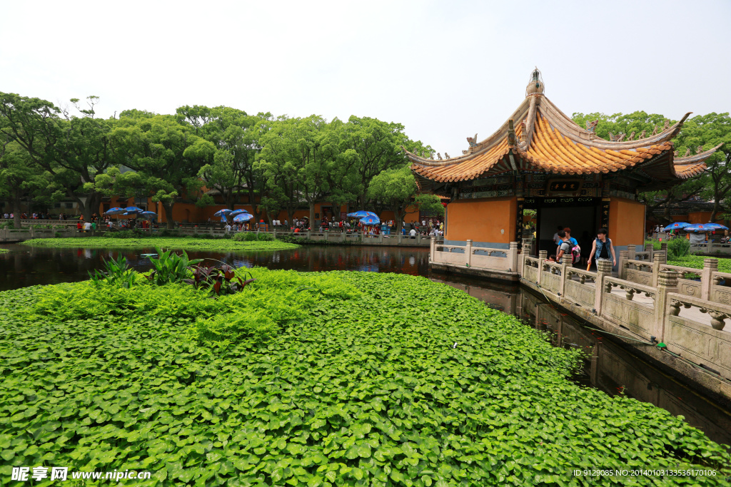普陀山普济禅寺