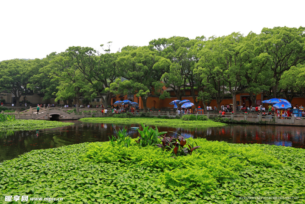 普陀山普济禅寺