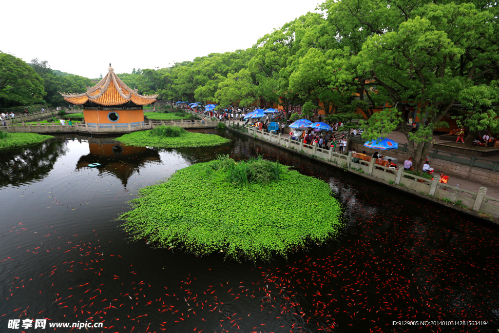 普陀山普济禅寺