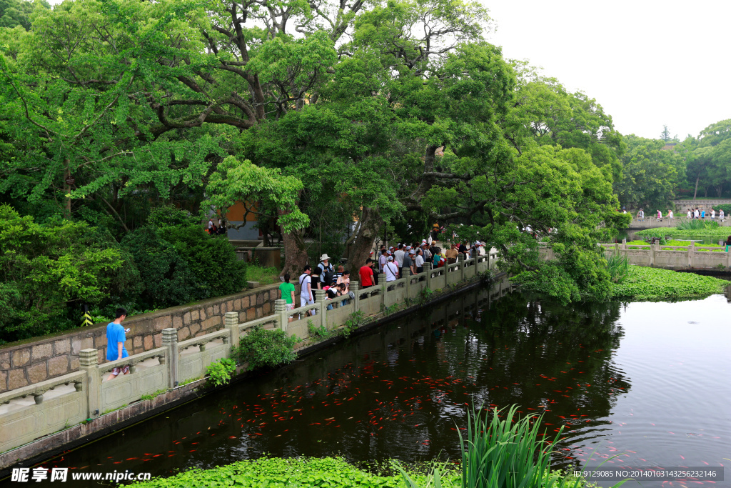 普陀山普济禅寺