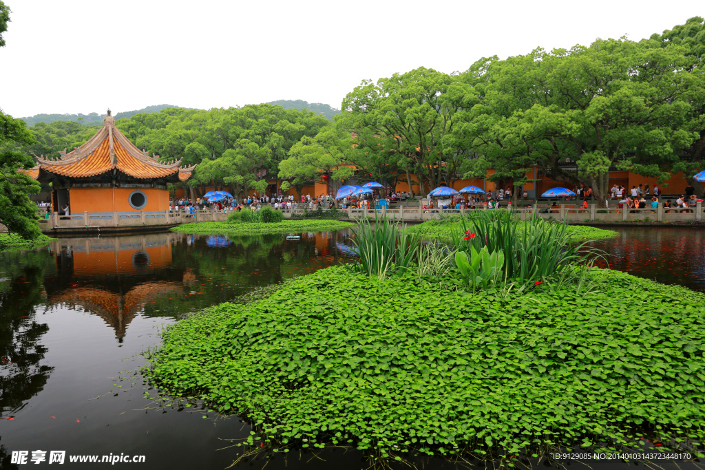 普陀山普济禅寺