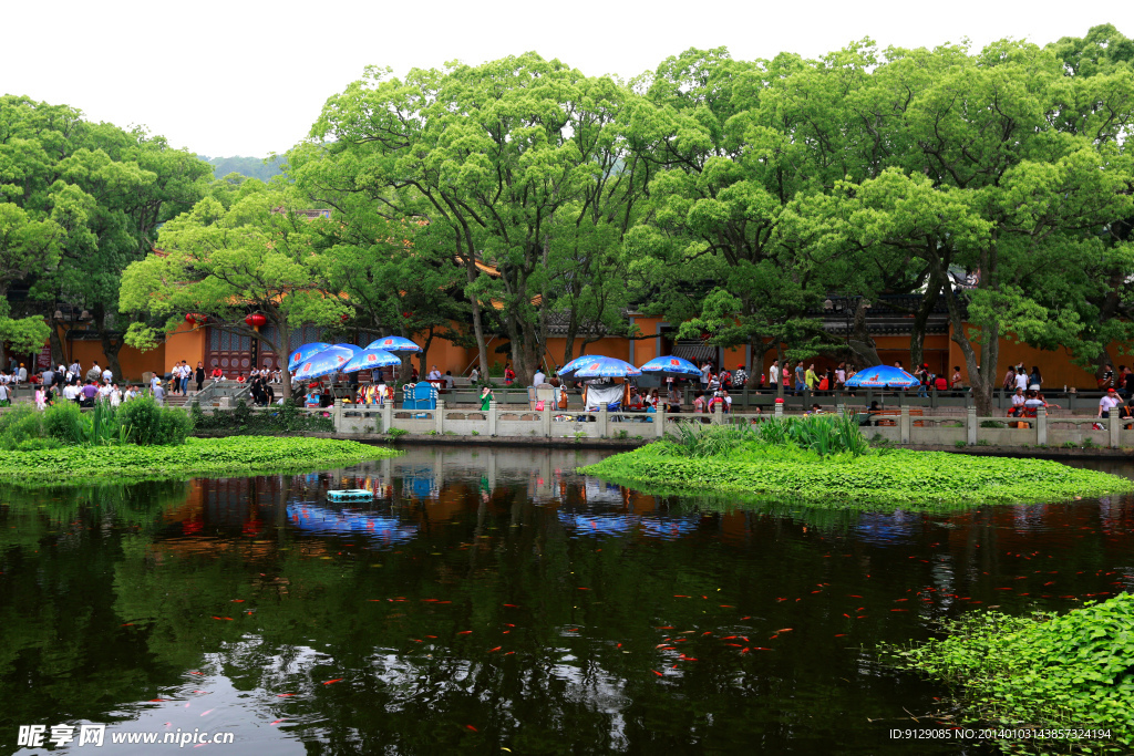 普陀山普济禅寺