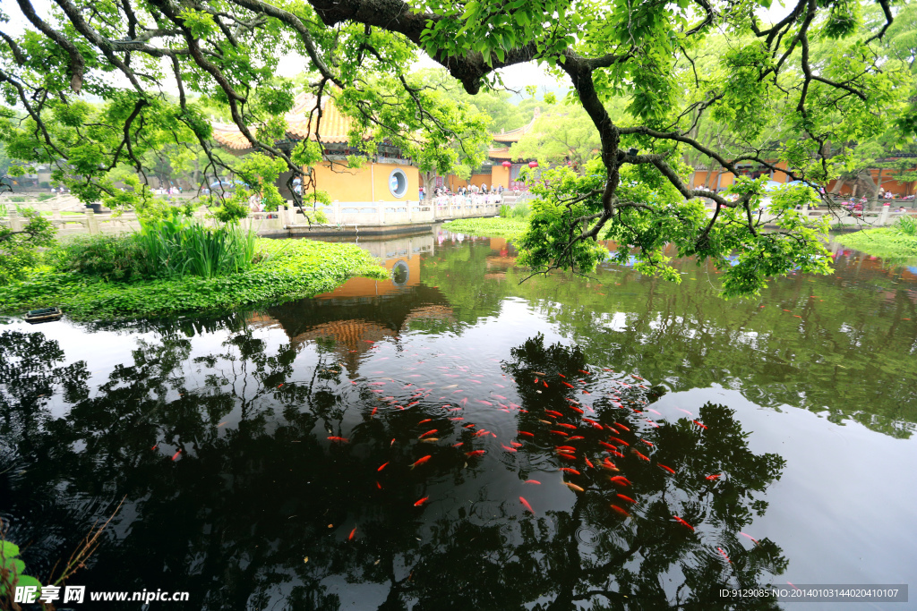 普陀山普济禅寺