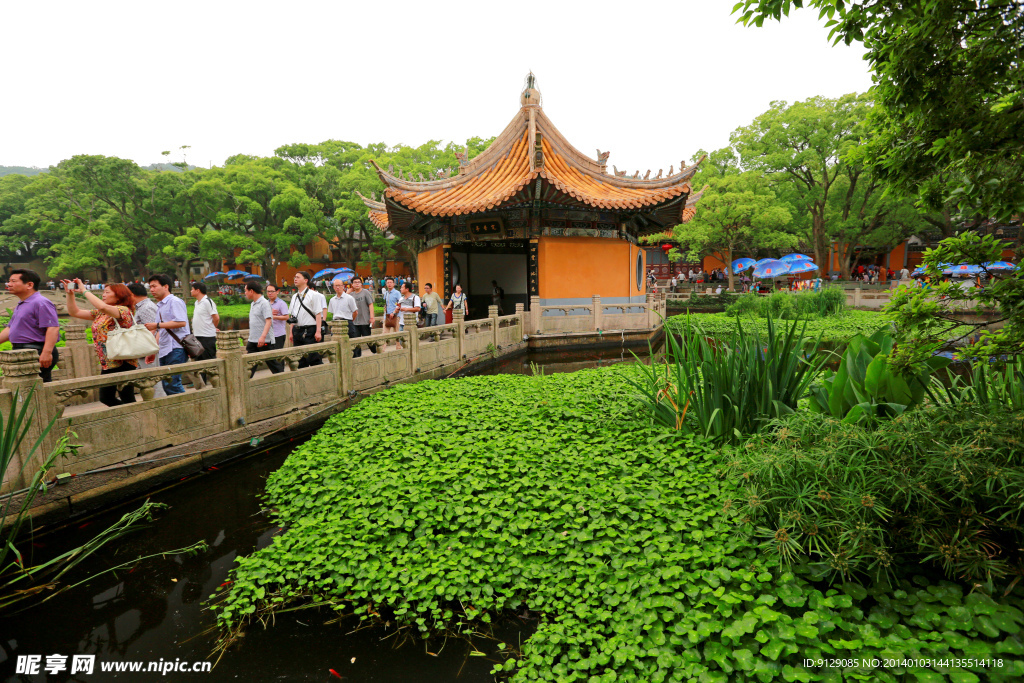 普陀山普济禅寺