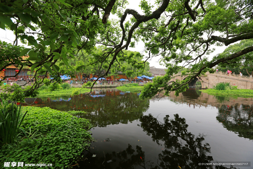 普陀山普济禅寺