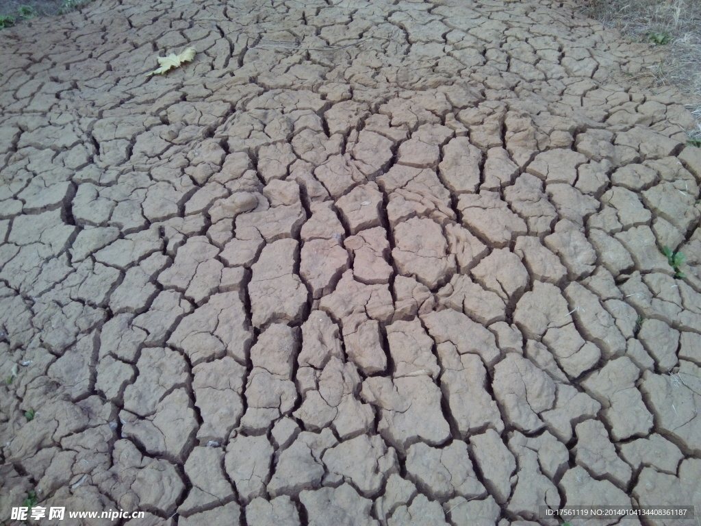 干涸土地