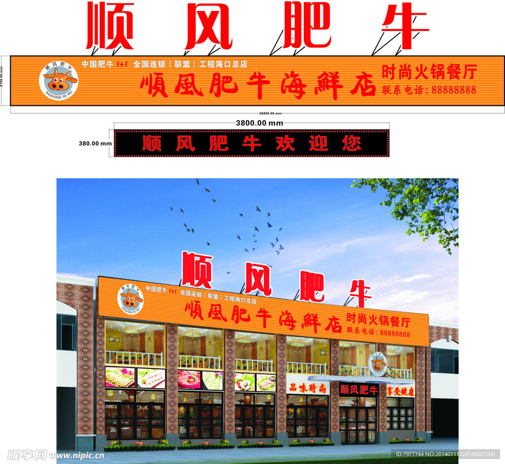 顺风肥牛 招牌设计