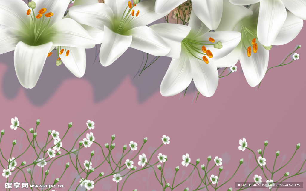 百合花