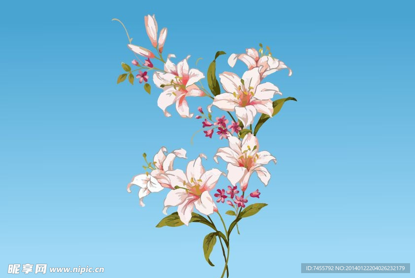 工笔画 百合 花纹
