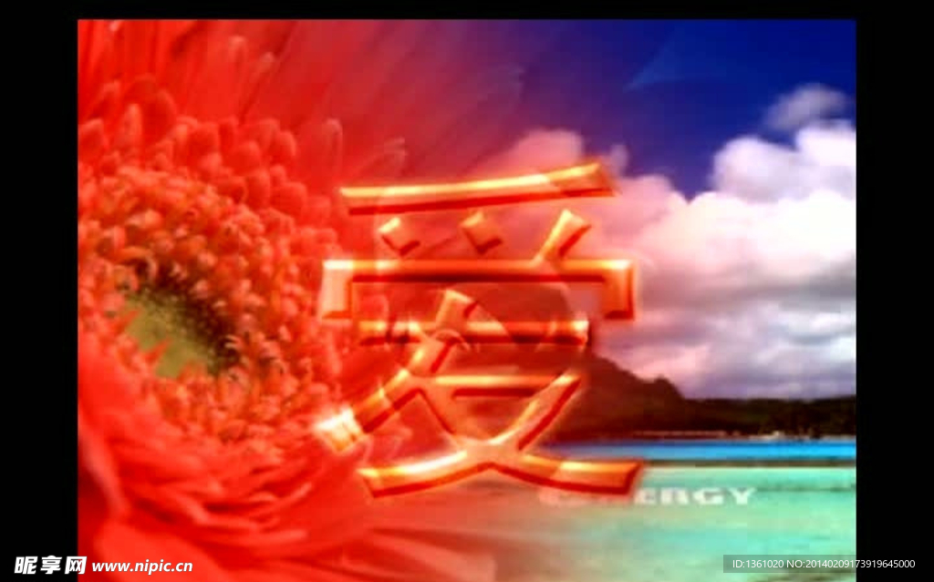 情人节视频素材