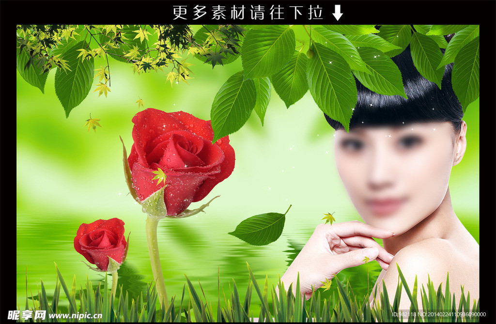 美女玫瑰花