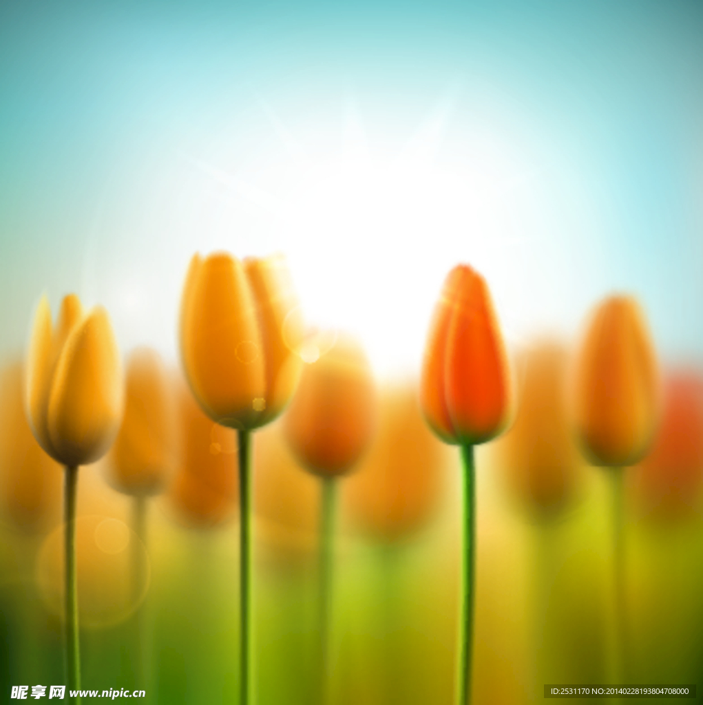 手绘百合花