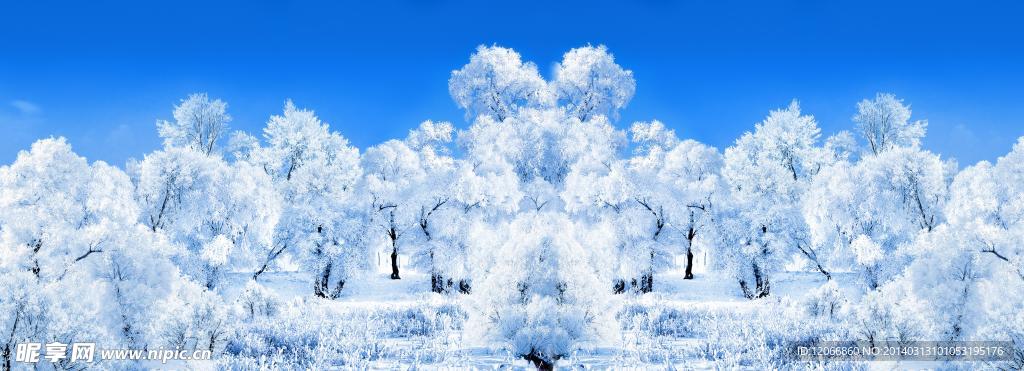 冬季雪景