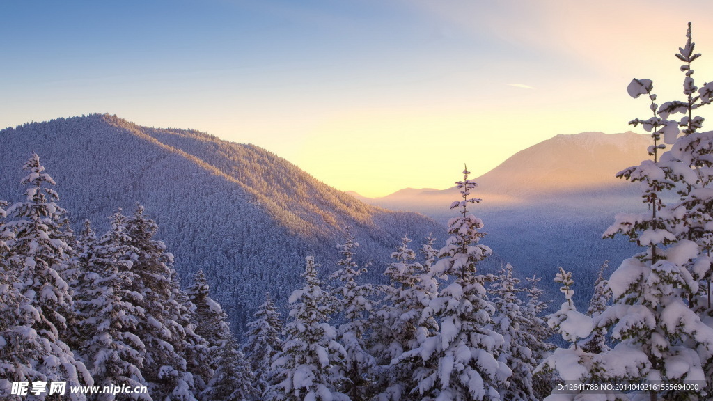雾凇雪景夕阳