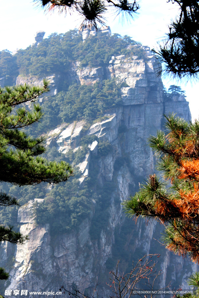 画 山