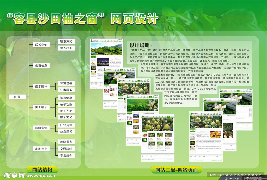 容县沙田柚网宣传展板
