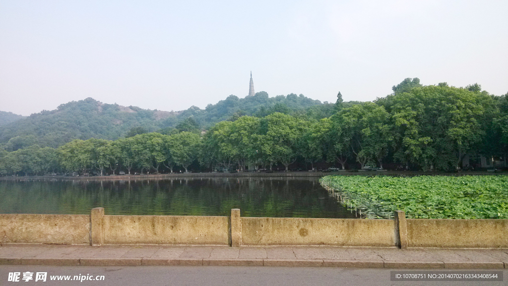 西湖风景