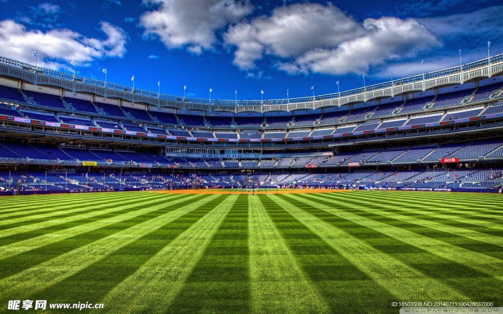 高清体育场