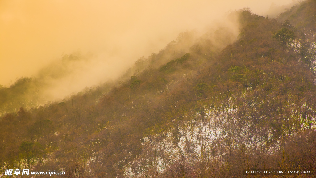 西岭雪山