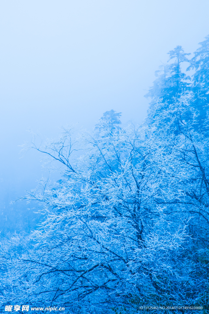 西岭雪山