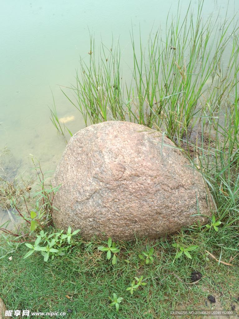 海草湖水石头
