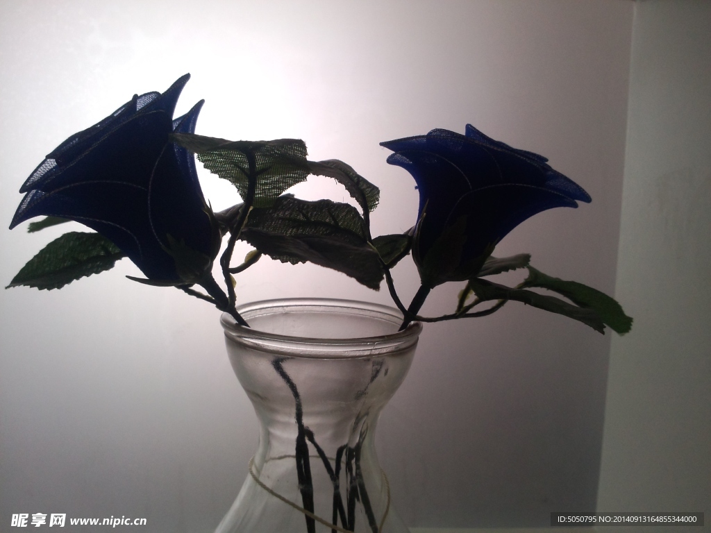 插花蓝玫瑰