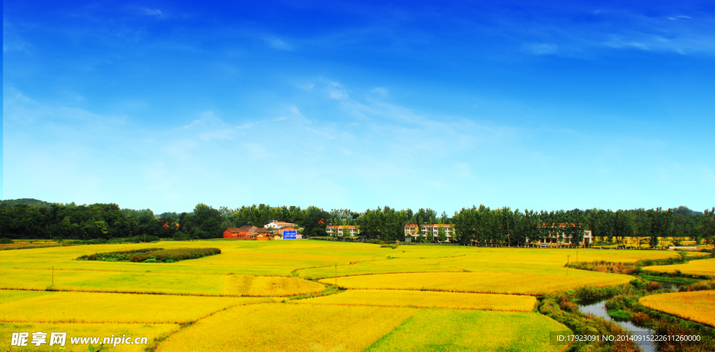 新农村