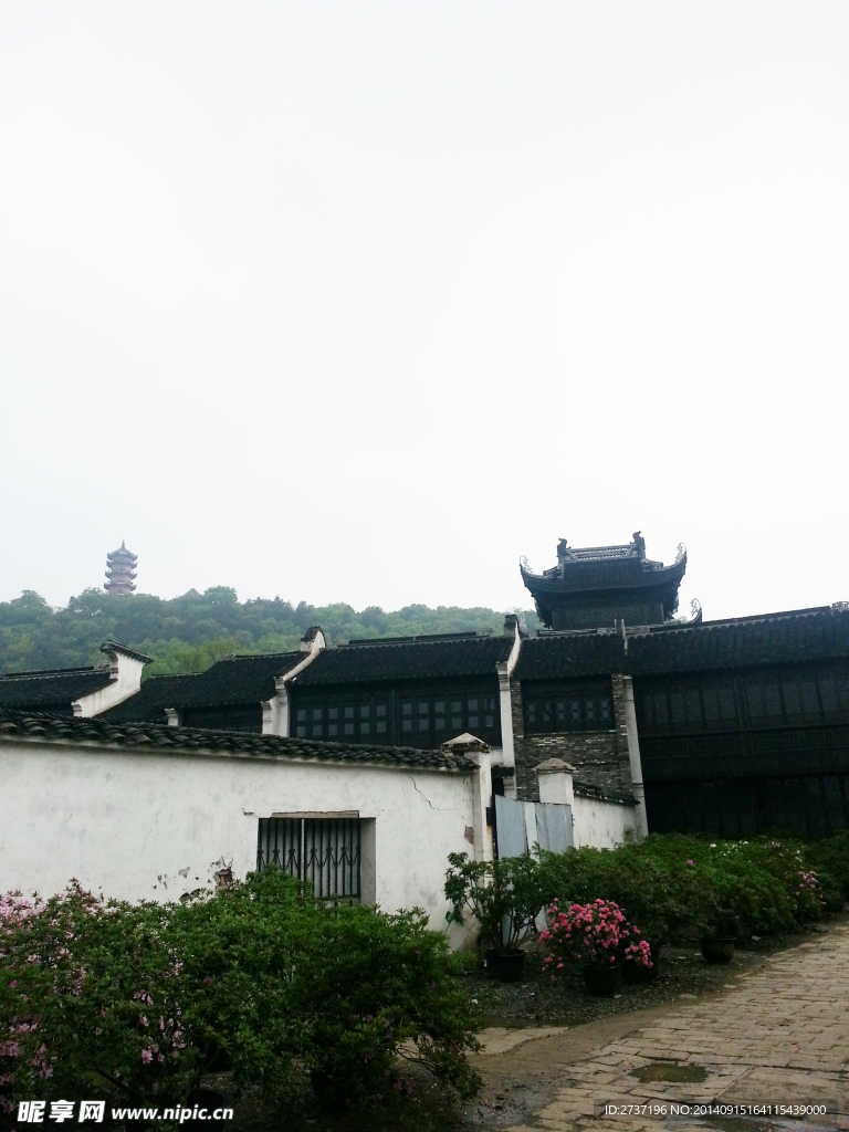 恵山风景