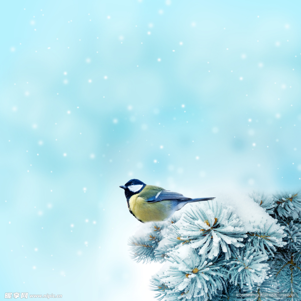 唯美冬季雪景