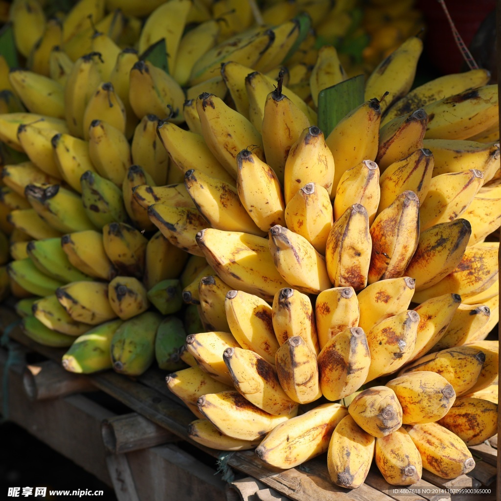 香蕉